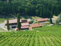 Weingut Georgiberg (Foto Hedi Grager)