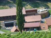 Weingut Georgiberg (Foto Hedi Grager)