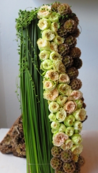 Foto Hürriyet Bulan