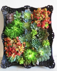 Foto Hürriyet Bulan