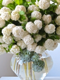 Foto Hürriyet Bulan