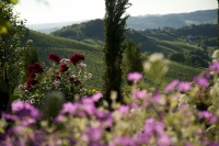 Der Garten von Renate Polz (Foto Polz-Garten)