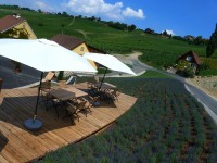 Georgiberg (Foto Hedi Grager)