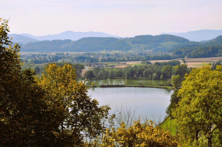 Blick von Schloss Seggau auf den Sulmsee. (Foto Reinhard A. Sudy)