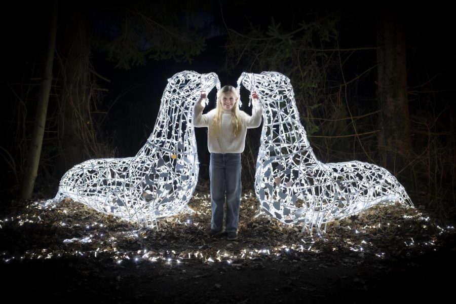 LUMAGICA Frohnleiten 2024/25 – Eine magische Zeitreise. (Foto Mathias Kniepeiss / IVENTS)