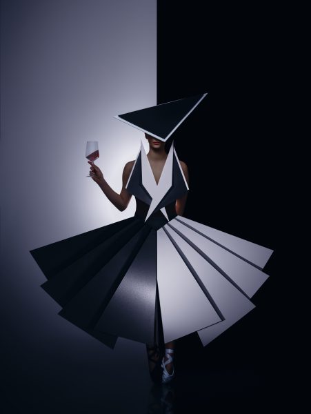 Wolfgang Gangl sicherte sich den Titel "European Photographer of the Year". Eines seiner Siegerbilder "Black Swan". (Foto Wolfgang Gangl)