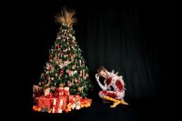 „Gans tödliche Weihnacht“ – Cesar Sampson und Franz Josef Baur setzen ein kraftvolles Zeichen für Tierschutz und gegen Massentierhaltung. Im Bild FJ Baur. (Foto Raphael Fasching)