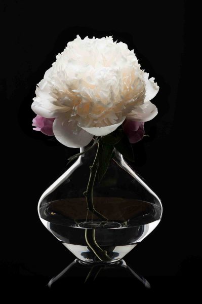 ICHIGO.Vienna Bloom. (Foto Markus Schlögl)